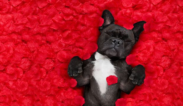 The Secret Of The Ultimate Valentine’s API
